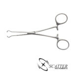 Babcock Tissue Forcep